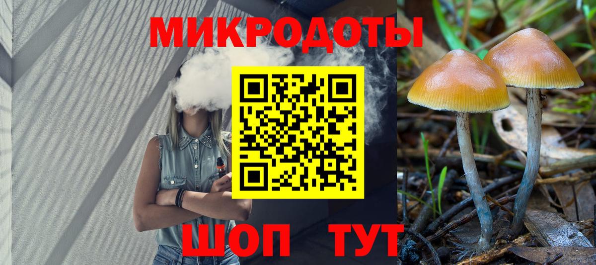 Псилоцибиновые грибы Cubensis Кемерово