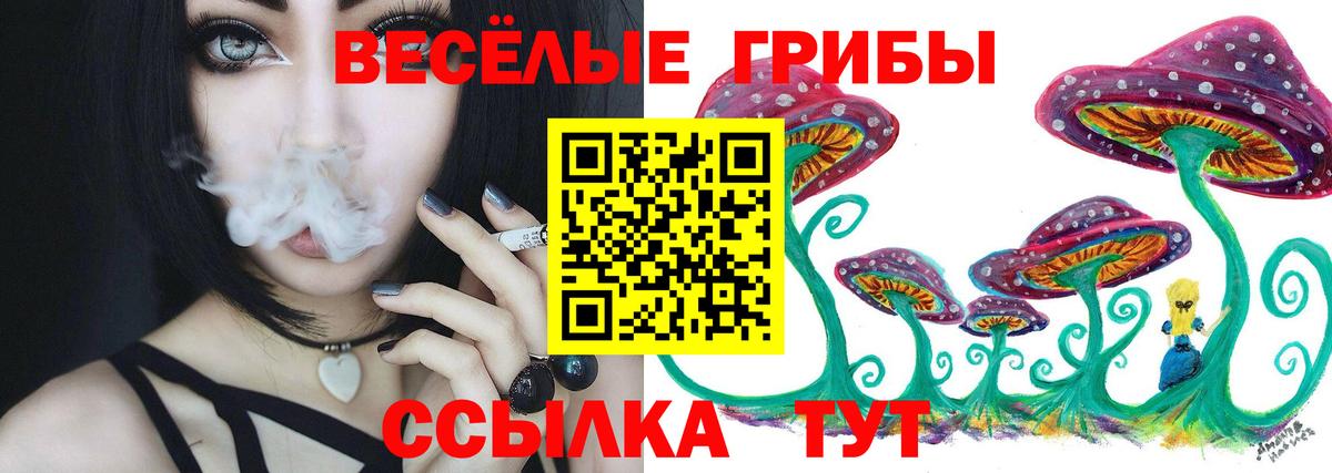 Кемерово  Галлюциногенные грибы Cubensis  цена   Вход с VPN 